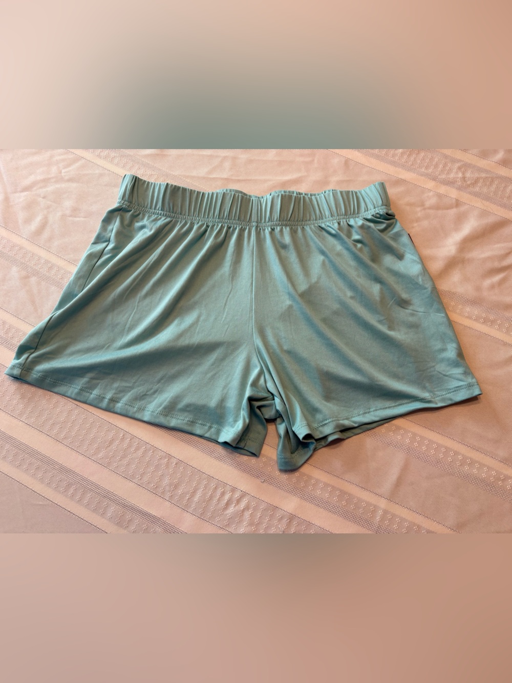 Eddie Bauer Light Teal Athletic Lounge Shorts